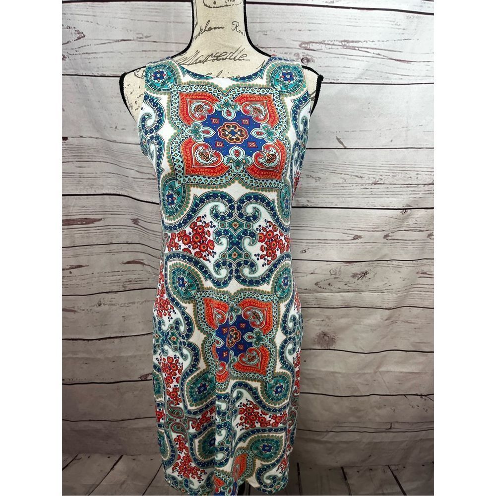 Charter Club size small beautiful stretchy form fitting dress (1798)